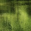 great-falls010